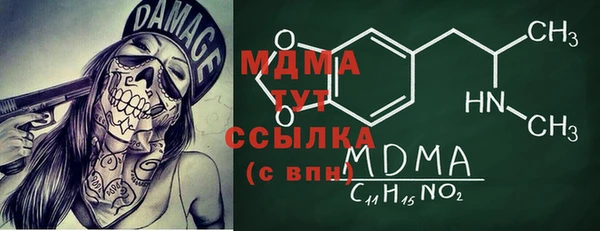 гидра Вязьма