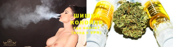 кокс Вяземский