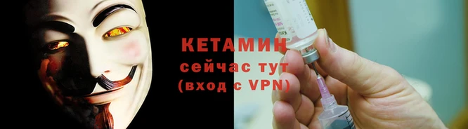 гидра Вязьма