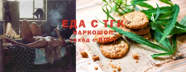 гидра Вязьма