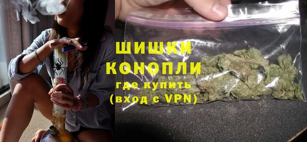 гидра Вязьма
