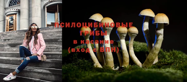 ПСИЛОЦИБИНОВЫЕ ГРИБЫ Володарск