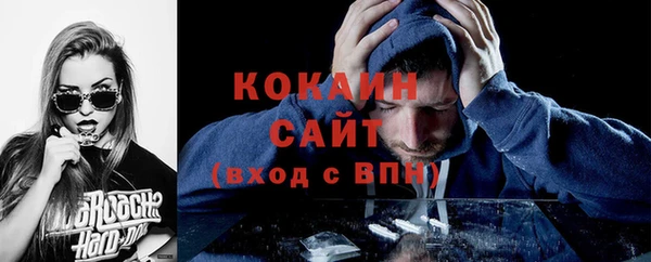 гидра Вязьма