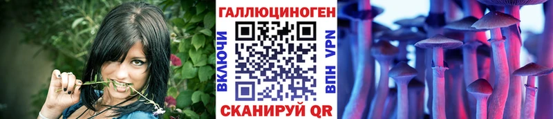 цены   Назрань  Псилоцибиновые грибы GOLDEN TEACHER 